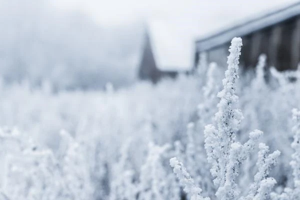 Winter has come